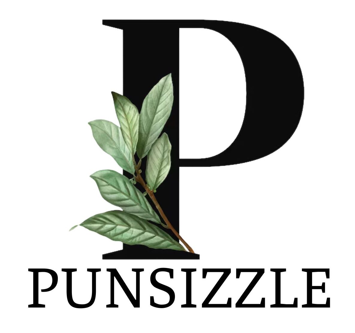 punsizzle.com